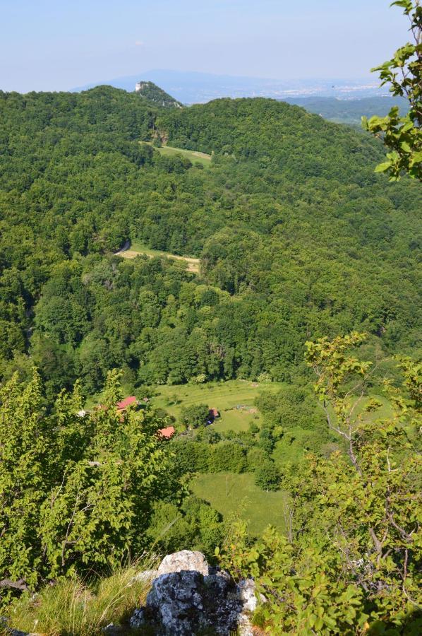 Na Okic - A Private Forest Oasis Villa Sveti Martin pod Okicem Esterno foto