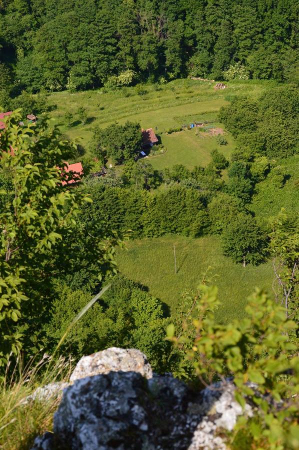 Na Okic - A Private Forest Oasis Villa Sveti Martin pod Okicem Esterno foto