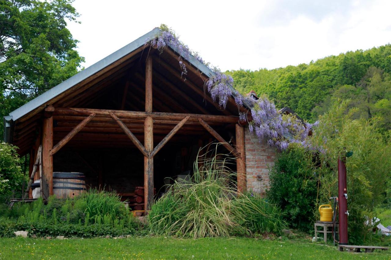 Na Okic - A Private Forest Oasis Villa Sveti Martin pod Okicem Esterno foto