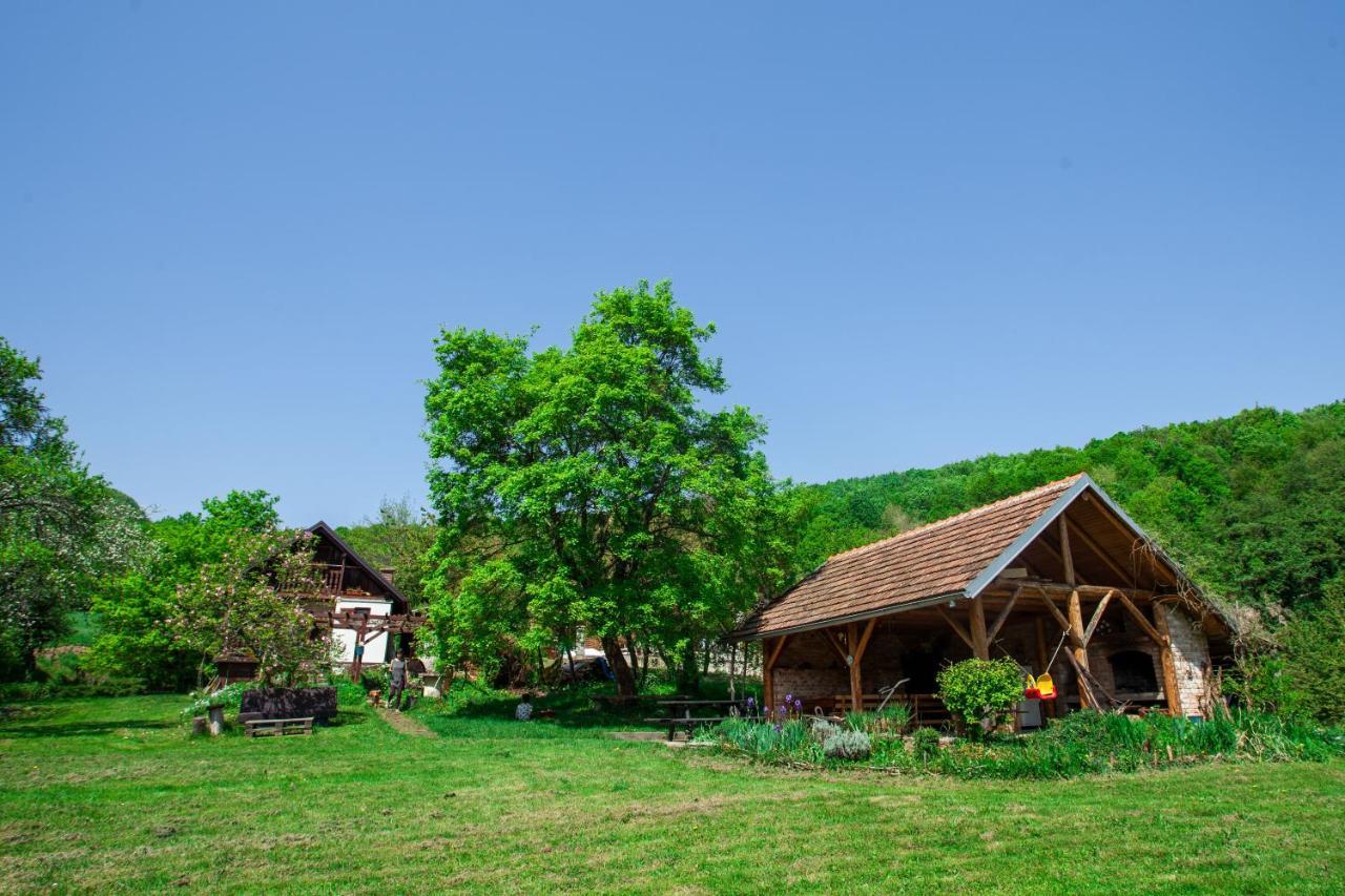 Na Okic - A Private Forest Oasis Villa Sveti Martin pod Okicem Esterno foto